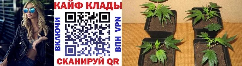 Купить наркотики цена Владикавказ Канабис АМФ Галлюциногенные грибы Меф