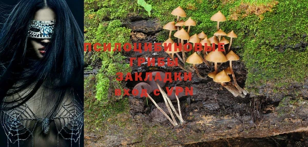 соль ск Заволжье
