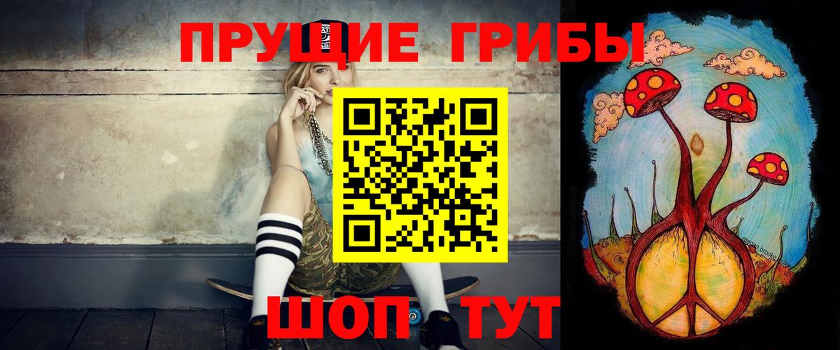 Псилоцибиновые грибы Psilocybine cubensis  Владикавказ 