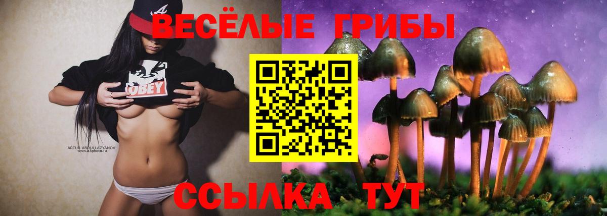 Псилоцибиновые грибы ЛСД  Вход с VPN  Владикавказ 